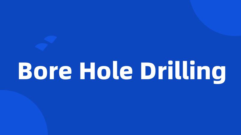Bore Hole Drilling