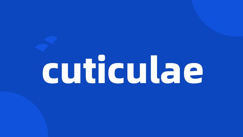 cuticulae