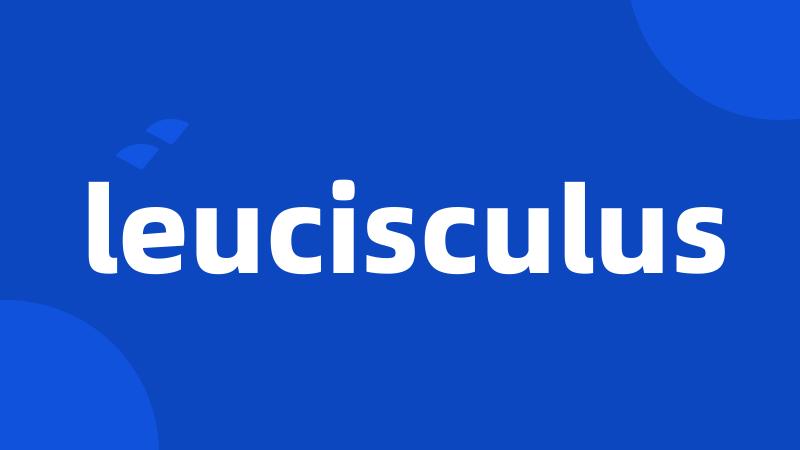 leucisculus
