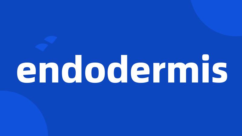 endodermis