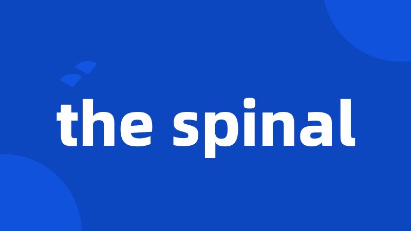 the spinal