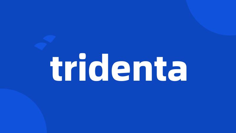 tridenta