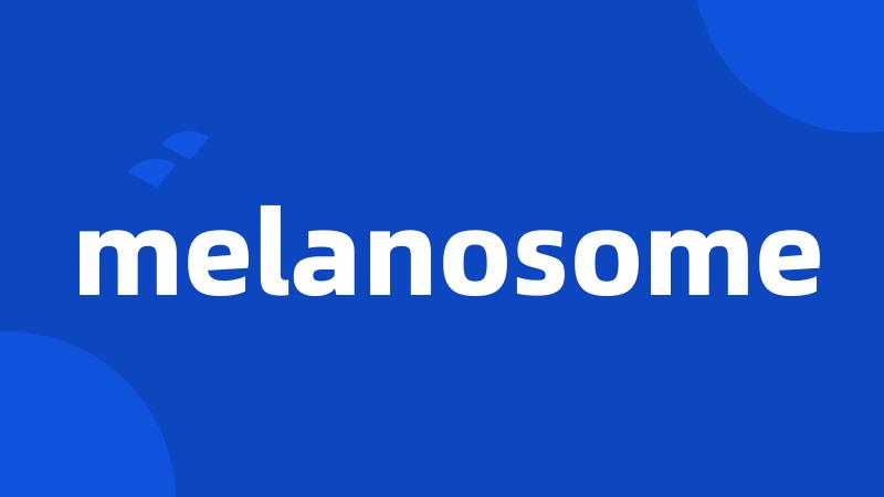 melanosome