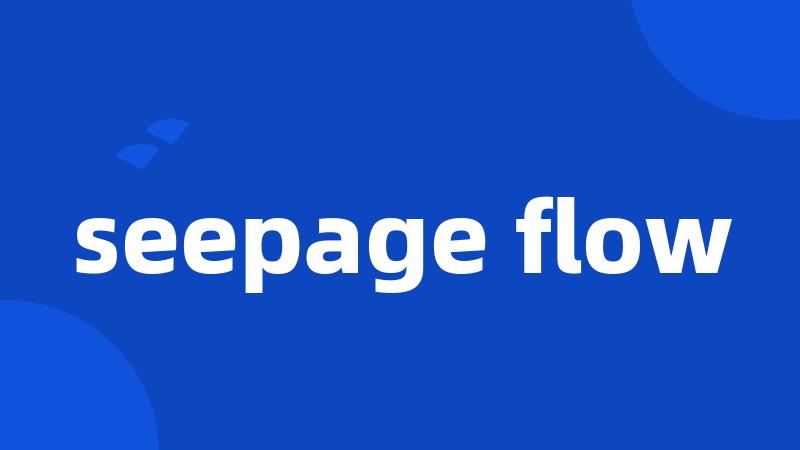 seepage flow