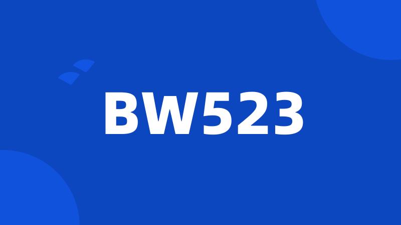 BW523