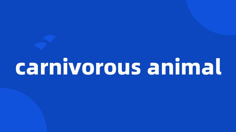carnivorous animal