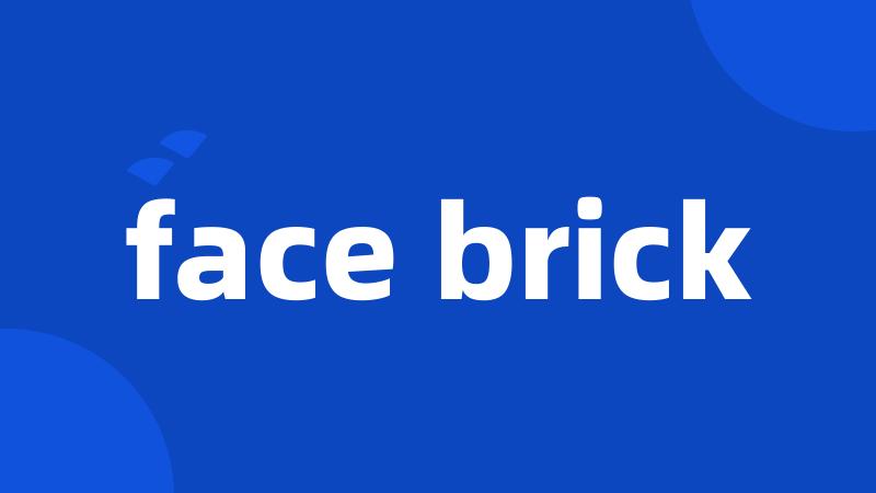 face brick
