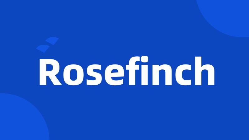 Rosefinch