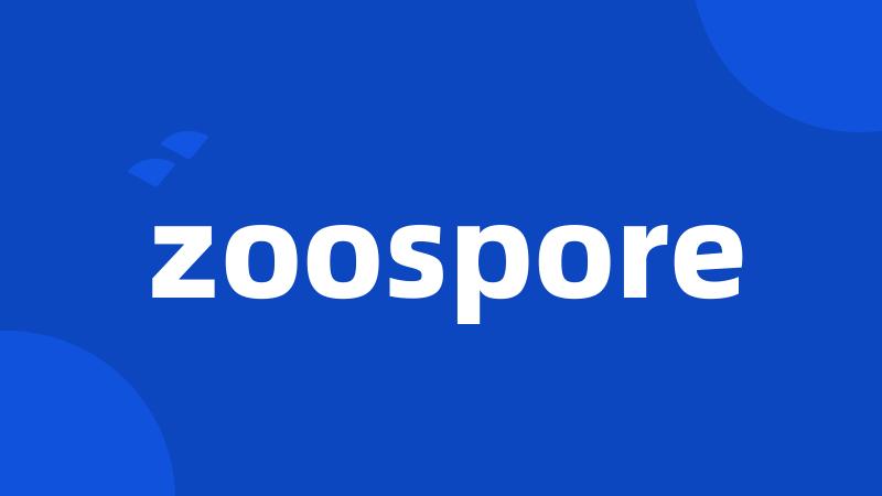 zoospore