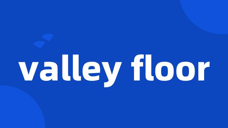 valley floor