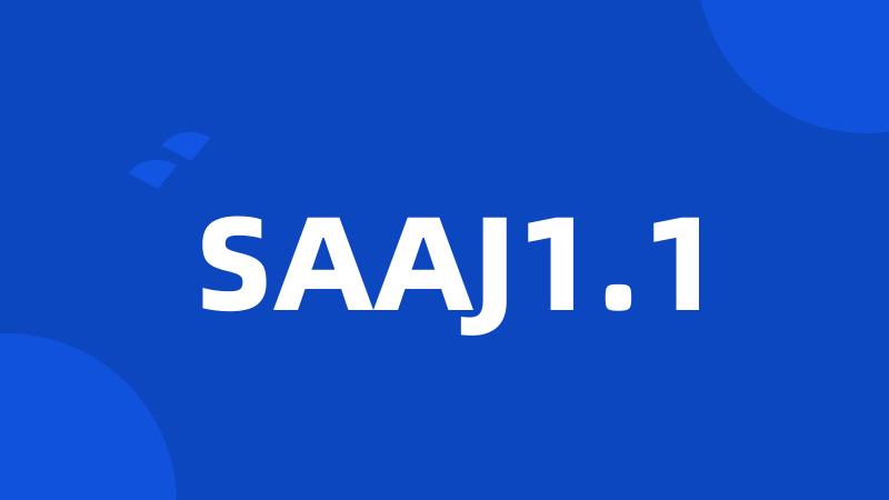 SAAJ1.1