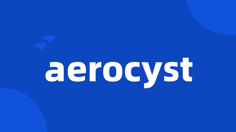 aerocyst