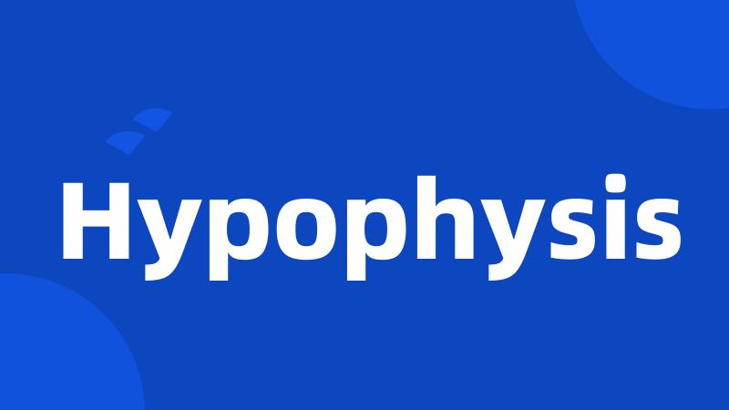 Hypophysis