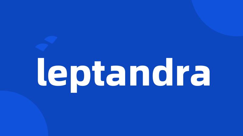 leptandra