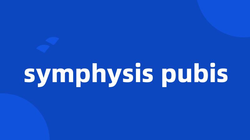 symphysis pubis