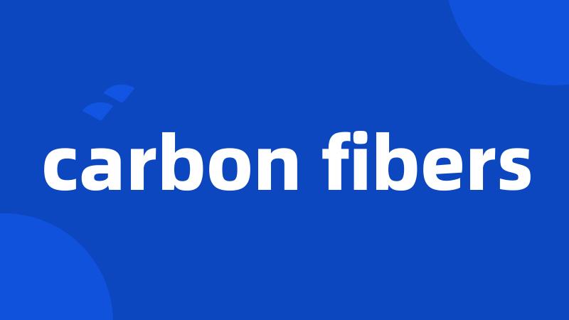 carbon fibers