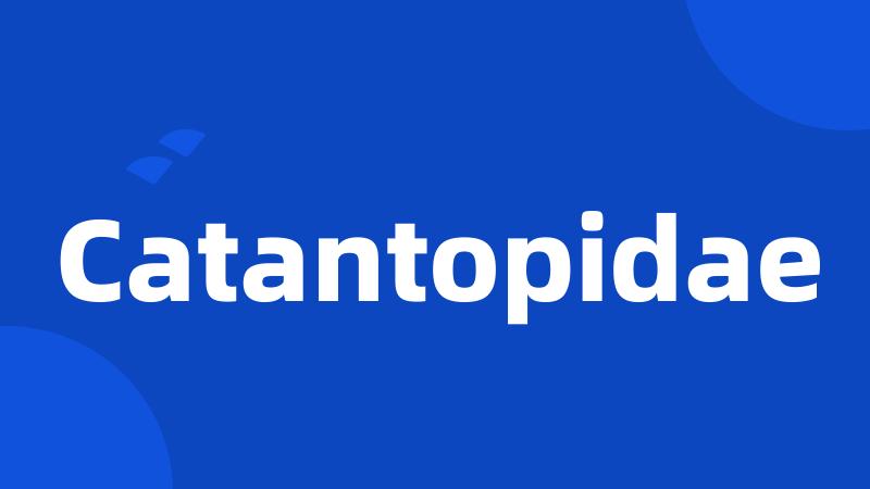 Catantopidae
