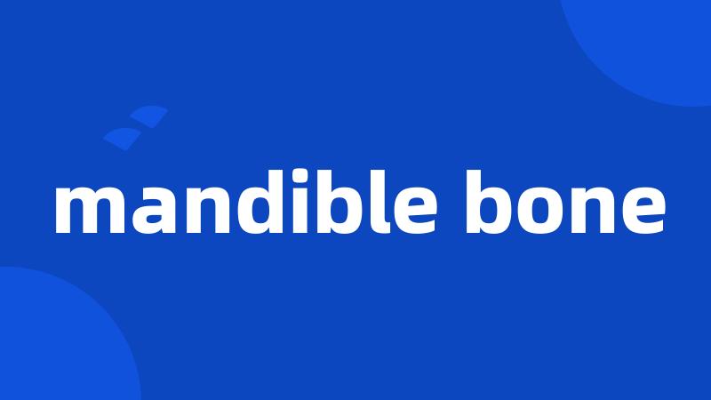 mandible bone