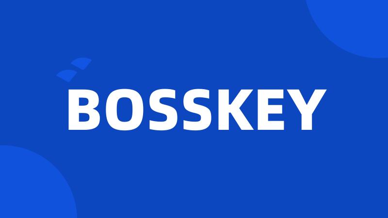 BOSSKEY