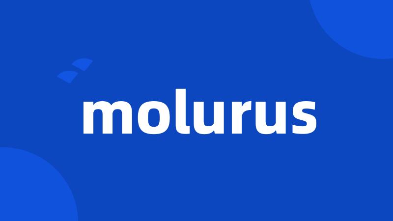 molurus