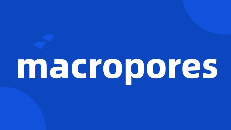 macropores