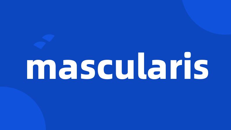 mascularis