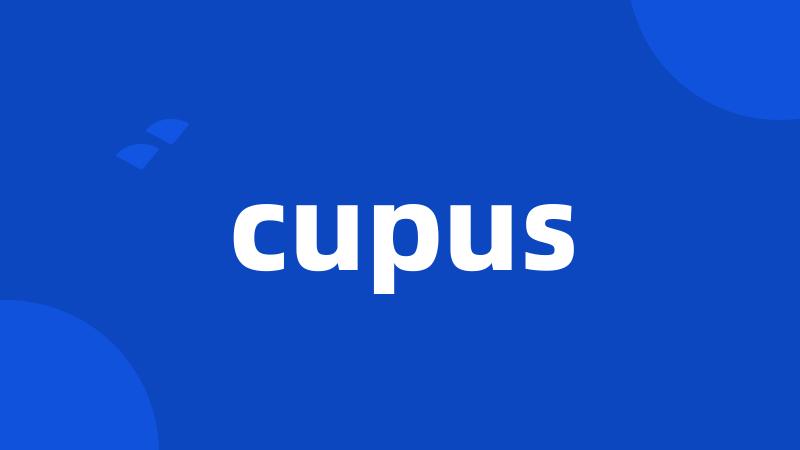 cupus