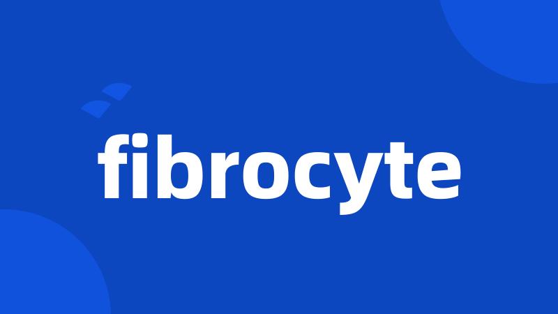 fibrocyte