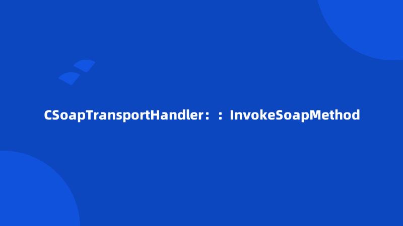 CSoapTransportHandler：：InvokeSoapMethod