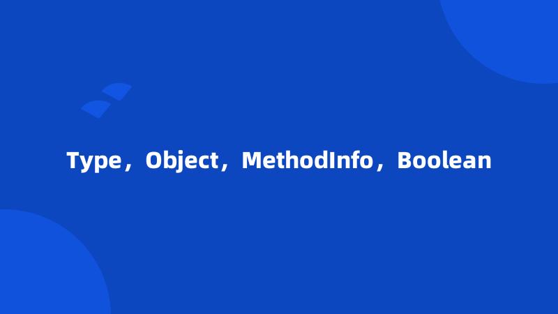 Type，Object，MethodInfo，Boolean