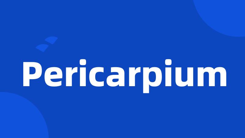 Pericarpium