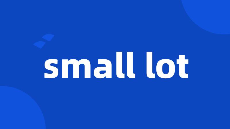 small lot