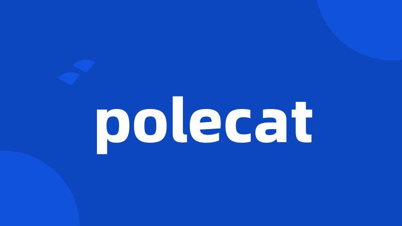 polecat