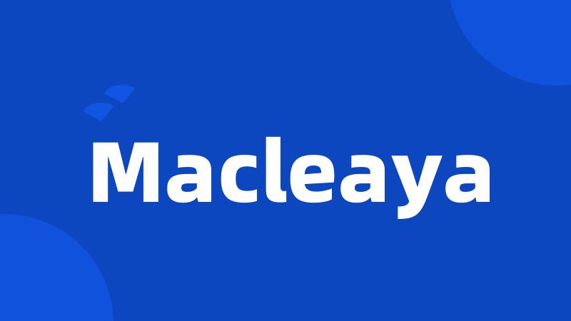 Macleaya