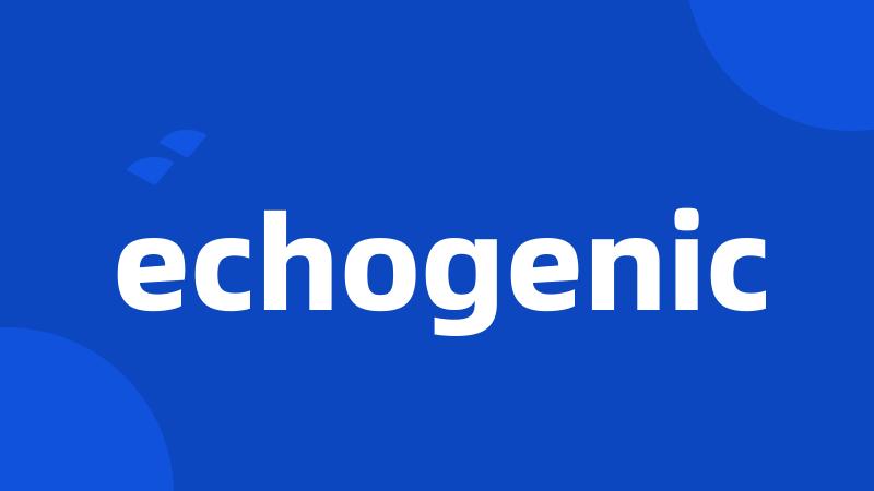 echogenic