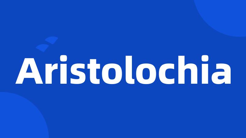 Aristolochia