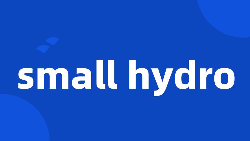 small hydro