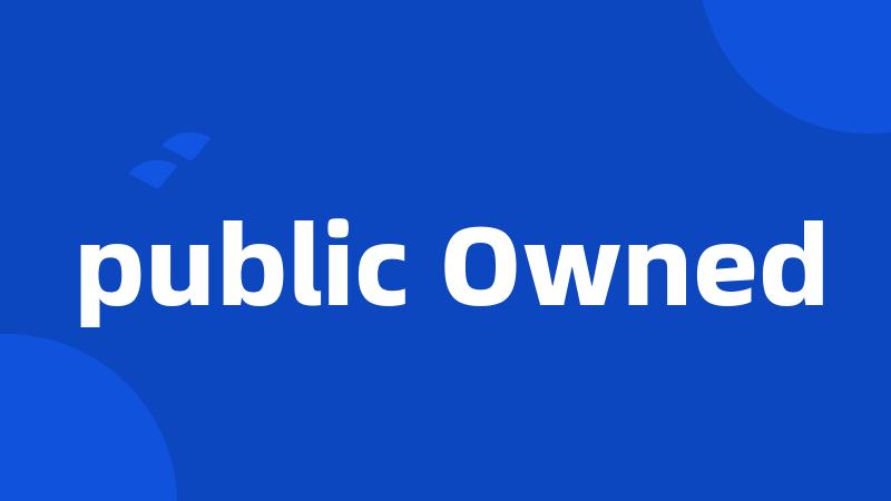 public Owned