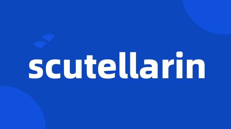 scutellarin