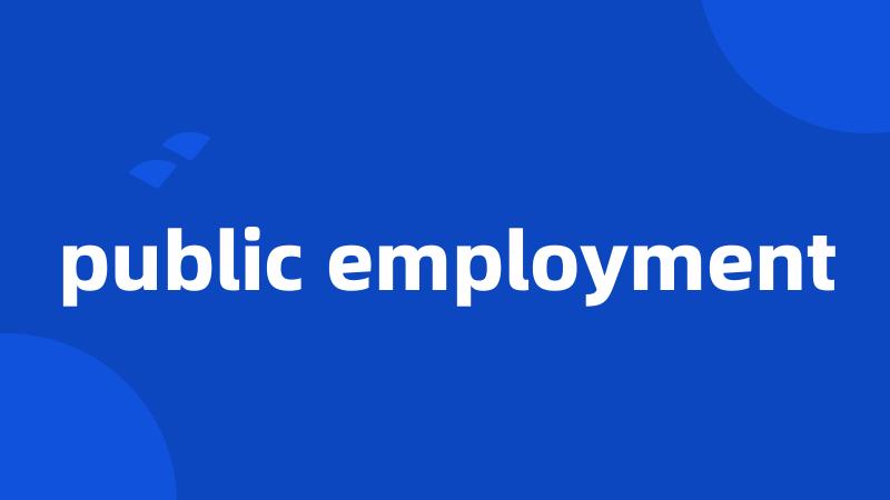 public employment