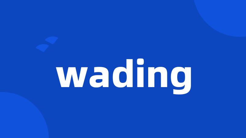 wading