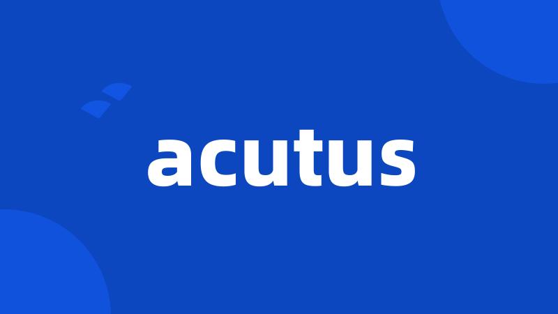 acutus