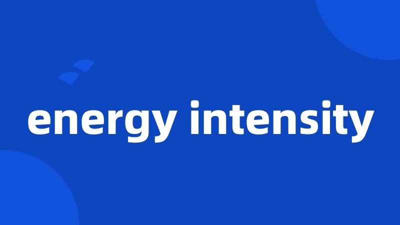 energy intensity