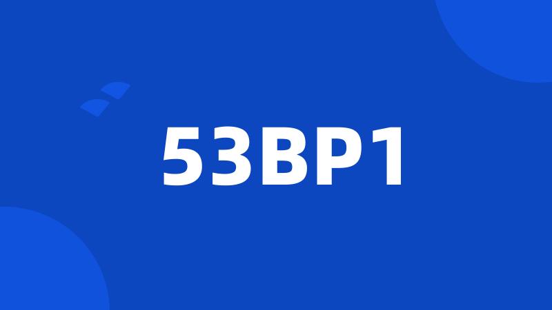 53BP1