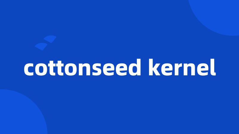 cottonseed kernel