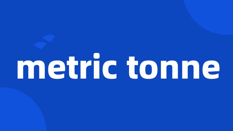 metric tonne