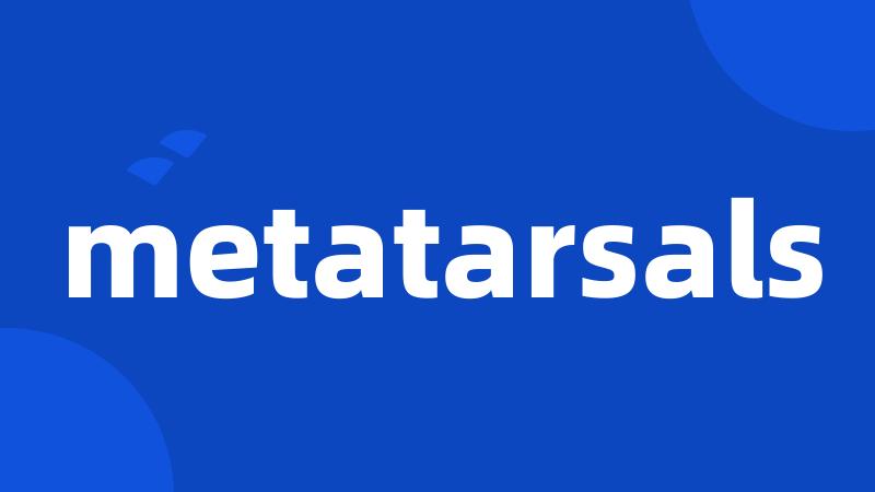 metatarsals