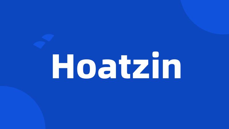 Hoatzin