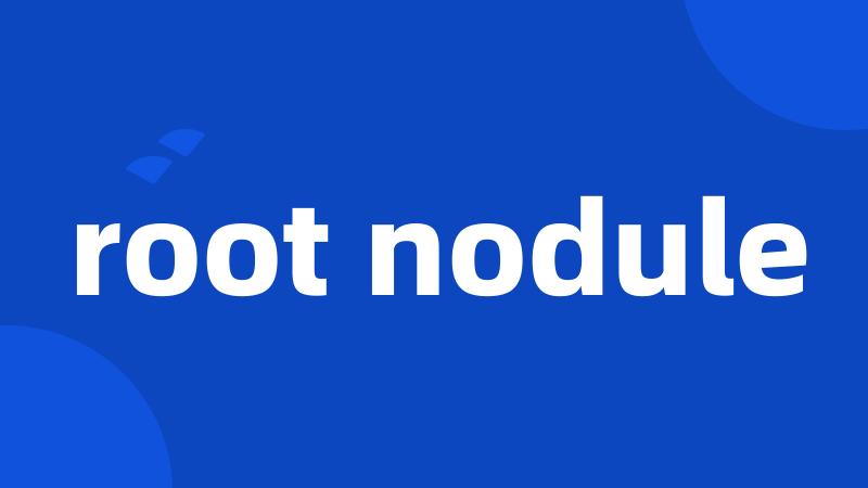 root nodule