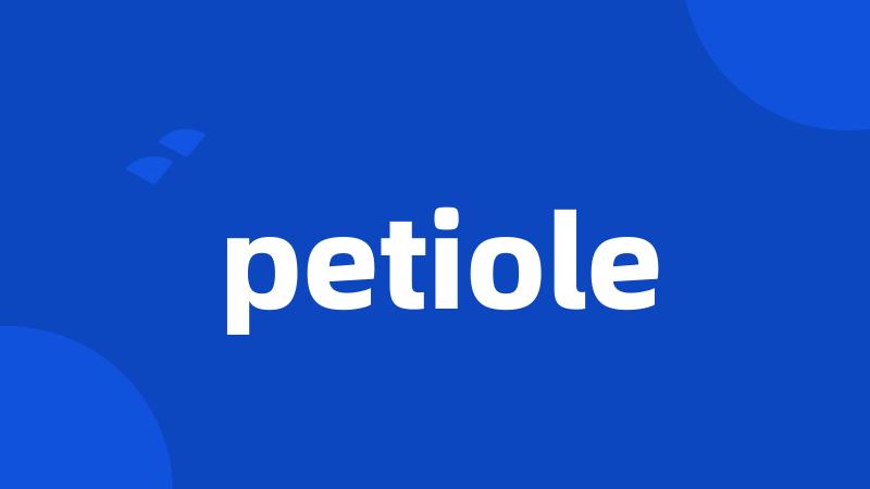 petiole